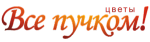 Все пучком!